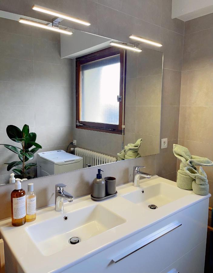 Appartement Tres Cosy A 5 Min Aeroport Geneve Ferney Voltaire Dış mekan fotoğraf