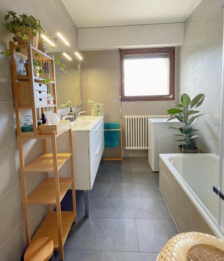 Appartement Tres Cosy A 5 Min Aeroport Geneve Ferney Voltaire Dış mekan fotoğraf