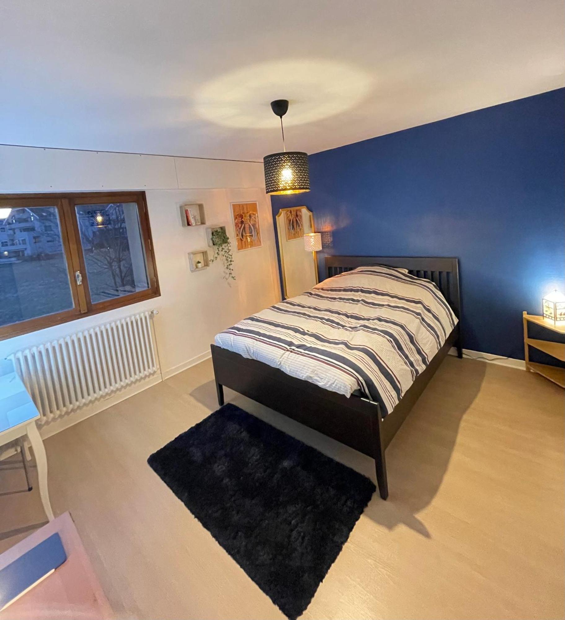 Appartement Tres Cosy A 5 Min Aeroport Geneve Ferney Voltaire Dış mekan fotoğraf