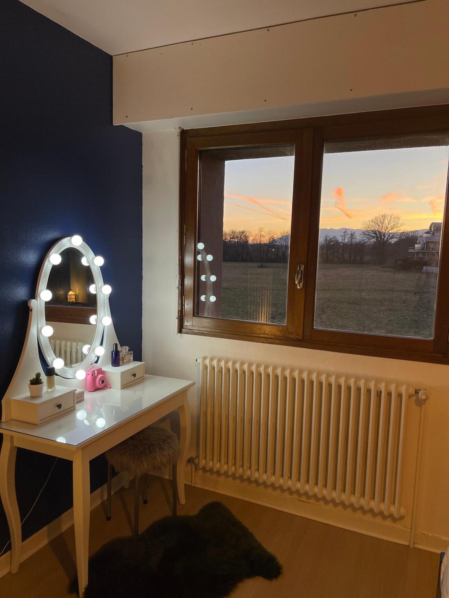 Appartement Tres Cosy A 5 Min Aeroport Geneve Ferney Voltaire Dış mekan fotoğraf