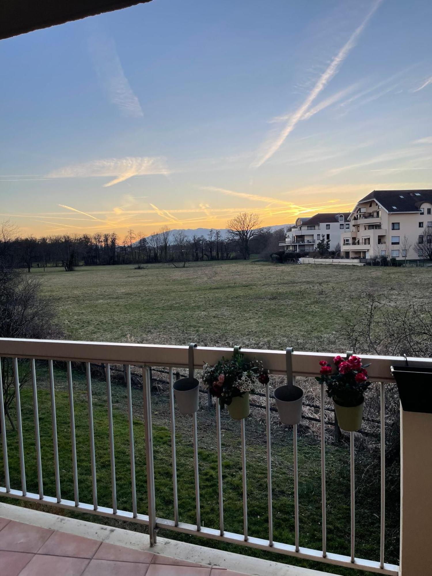 Appartement Tres Cosy A 5 Min Aeroport Geneve Ferney Voltaire Dış mekan fotoğraf