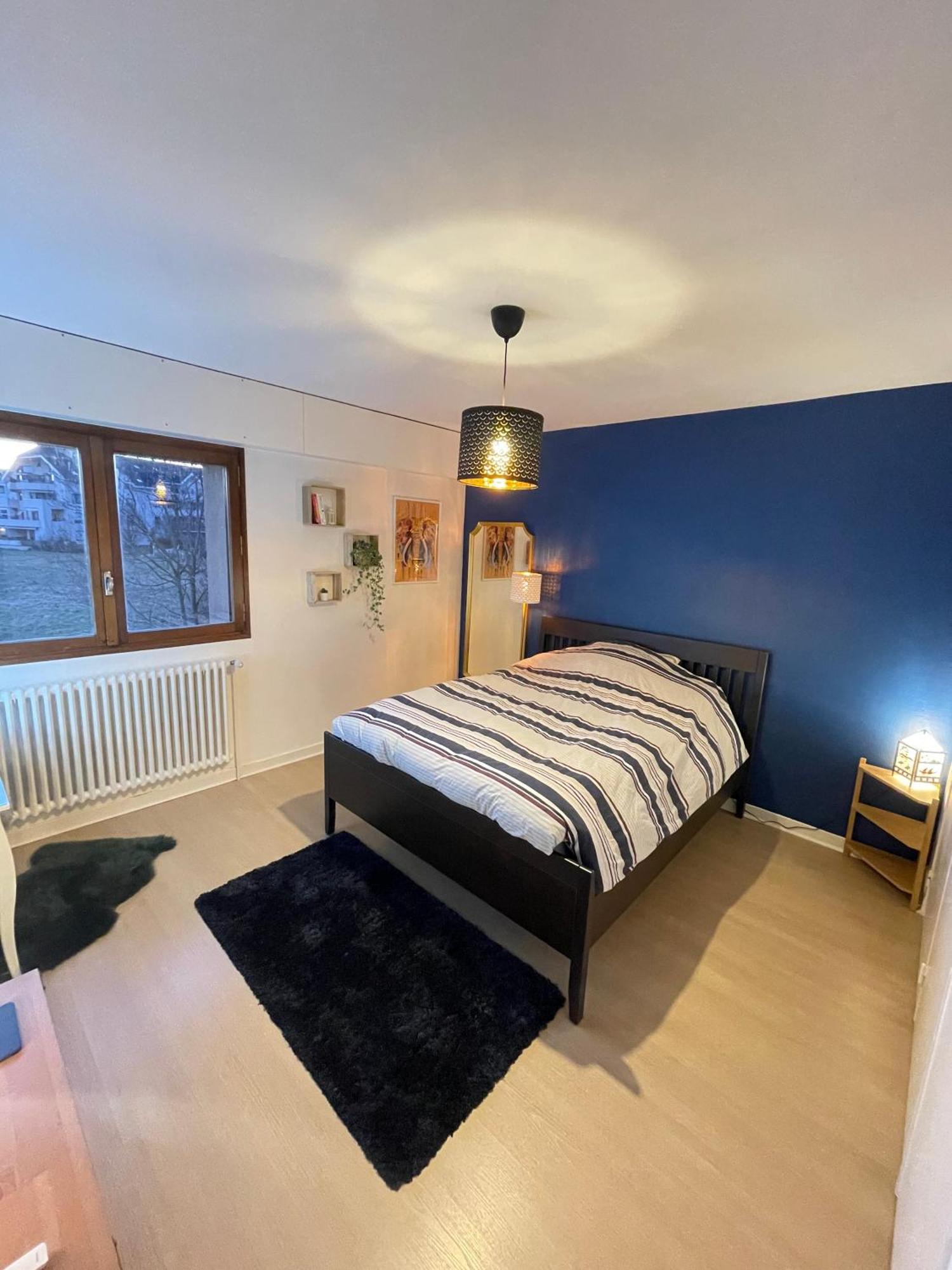 Appartement Tres Cosy A 5 Min Aeroport Geneve Ferney Voltaire Dış mekan fotoğraf